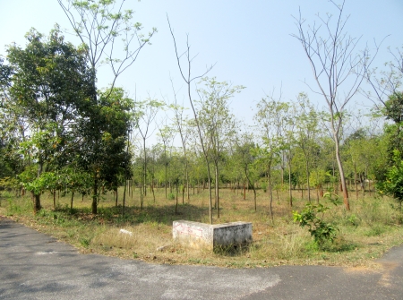 9) Li id 368 - Pic 10.JPG